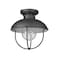 Z-Lite Ansel 1 Light Outdoor Flush Ceiling Mount Fixture, Black & Black 590F-BK - alternate 7